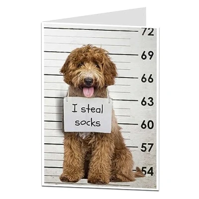 Image of LimaLima Funny Dog Birthday Card I Steal Socks Perfect For Men &amp; Women Husband Wife Boyfriend Girlfriend