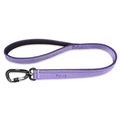 Image of Hyhug Design Strong 3M Reflective Strip Double Color Nylon Jacquard Weave Webbing Dog Lead, Comfy Adjustable Length Safety Leash, Durable Soft Breathable, Safe Night Walk (24 inch, Ultra Violet)