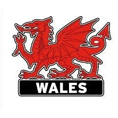 Image of Welsh Wales Cymru PU Fridge Magnet Sheep Dragon (Wales Dragon)