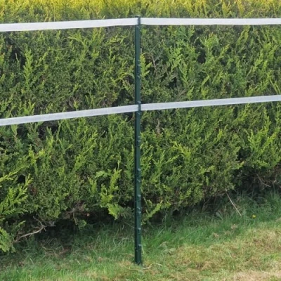 Image of Green 5FT Poly Post 155cm Tall Plastic Fencing Stake Reinforced Electric Fence Pole Ideal for Temporary Horse Fences Portable Paddock Equestrian Livestock Grazing Control (60)
