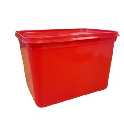 Image of We Can Source It Ltd Colour Coded 10 Ice Cream Containers &amp; Lids Food Storage For Kitchen 4L Size Red