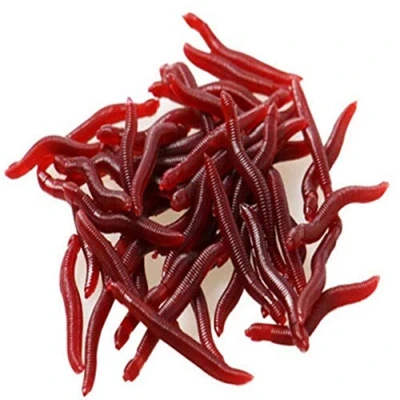 Image of Fishing Lure, 50Pcs Rubber Artificial Lifelike Earthworm Worm Soft Baits Lures Tackle