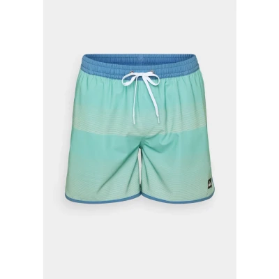 Image of Quiksilver SURF Scallop Volley Swimming shorts, Men&#039;s, Size: Small, Aquifer tijuana