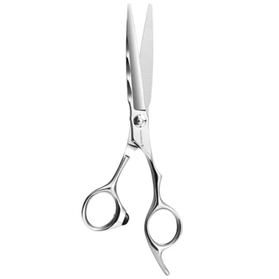 Image of AOLANDUO 6&quot; Hairdressing Scissors Super Sharp Offset Design with Japanese JP440C Stainless Steel Hair for Salon Stylists Beauticians