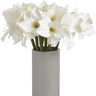 Image of The Recipe Classic White Amaryllis Flower, one size