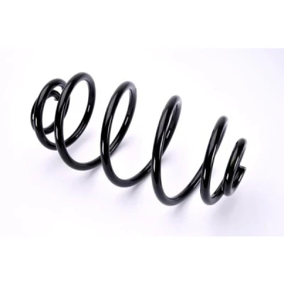 Image of 424092 Coil spring KRAFT 4031511 Rear Axle