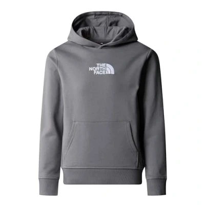Image of THE NORTH FACE Drew Peak Light P/O Hooded Sweatshirt Smoked Pearl 7/8 Years