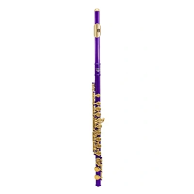 Image of Elkhart 100FL Flute, Purple