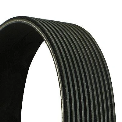 Image of 51968200206, 51968200225 V ribbed belt CONTITECH 11PK1515 1515mm 11