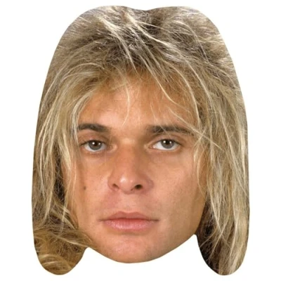 Image of David Lee Roth (80s) Celebrity Mask, Flat Card Face, Fancy Dress Mask
