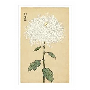 Image of Ashmolean Japanese Chrysanthemum Greeting Card Traditional Woodblock Art Print