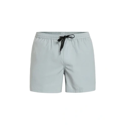Image of Quiksilver Everyday FLEX Swimming shorts, Men&#039;s, Size: XXL, Sje