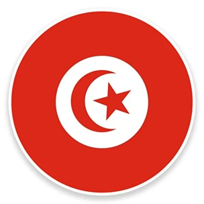 Image of 2 x 10cm/100mm Tunisia Flag Vinyl SELF Adhesive Sticker Decal Laptop Travel Luggage Car Bike Sign Fun #9123