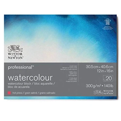 Image of Winsor &amp; Newton 6664008 Professional Watercolour Paper in Pad, 20 Sheets 30.5 x 40.6 cm, 300 g/m², Satined, Bright Natural White Archival Quality, Resistant to Yellowing