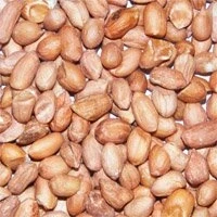 Image of Dawn Chorus Premium Peanuts For Wild Birds (25 kg)