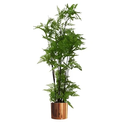 Image of 150cm Artificial Natural Extra Large Fern Foliage Plant with Copper Metal Plater