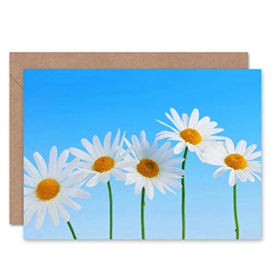 Image of Wee Blue Coo DAISY FLOWER NATURE PHOTOGRAPH BLANK GREETINGS BIRTHDAY CARD ART