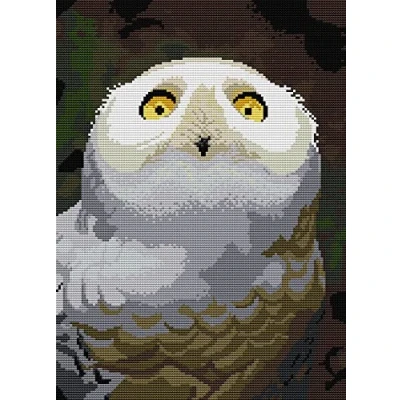 Image of Awesocrafts Cross Stitch Stamped Kits Snowy Owl Easy Patterns Stitching Embroidery Needlework Kit Supplies (Owl)