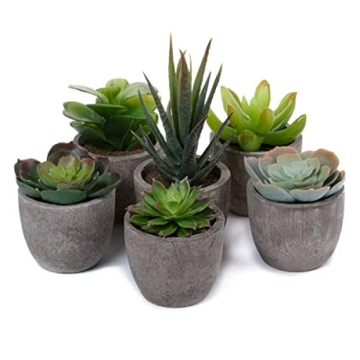 Image of Artificial Succulent Plants Series Plastic Decorative Grass Collection 1 of T4U, Pack 6