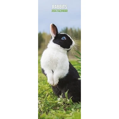 Image of Rabbits Slim 2024 Calendar