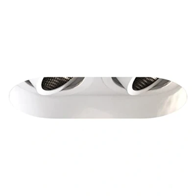 Image of Trimless Round Twin Adjustable 2 Light Downlight Matt White, GU10