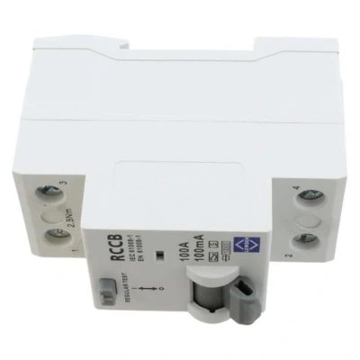 Image of Lewden 100A 100mA 2 Pole Type A Selective Time Delay RCCB