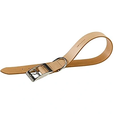 Image of Ferplast Natural BE C40/69 Dog Collar, 61 69 cm/ 40 mm, Beige