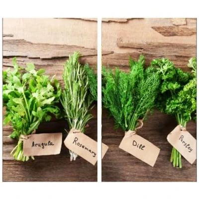 Image of MTS Glass Chopping Boards and Worktop Savers for Kitchen with Herbs Design, Non Slip Feet, Set of 2 Hob Cover, Cutting Board Protector (Herbs)