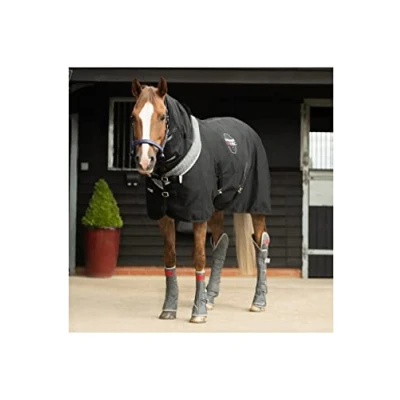 Image of equilibrium Magnetic Rug with Neck