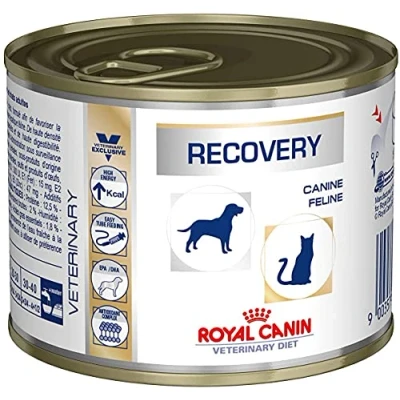 Image of ROYAL CANIN Canine/Feline Recovery Wet Cat/Dog Food 12 x 1
