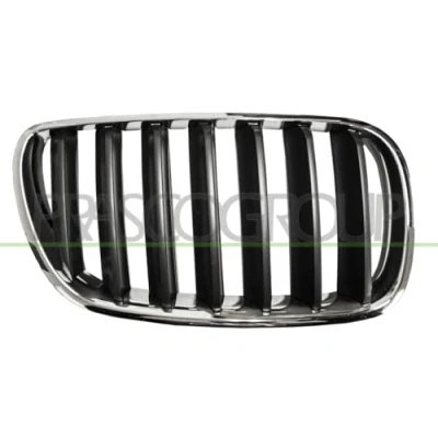 Image of 51113420092 Radiator Grill BLIC 6502 07 00939960P Right Front grey, chrome