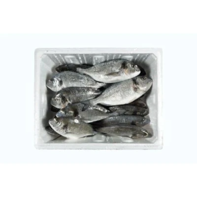 Image of Sea Bream L Box 120kg