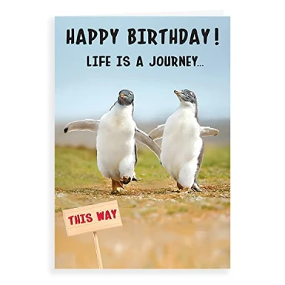 Image of Regal Publishing Humour Funny Birthday Card Life is a journey 7 x 5 inches