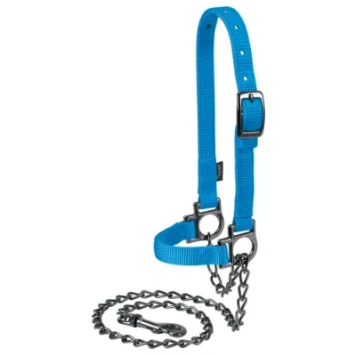 Image of Weaver Leather Livestock Nylon Adjustable Sheep Halter with Chain Lead, Blue