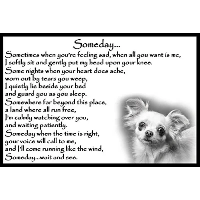 Image of Chihuahua Dog pet Loss Bereavement Gift Flexible Fridge Magnet Memorial Someday
