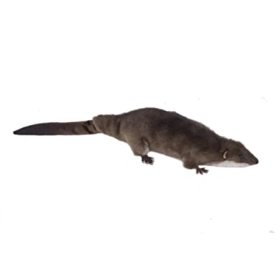 Image of Hansa 7374 Giant Otter Shrew Pup 45cmL