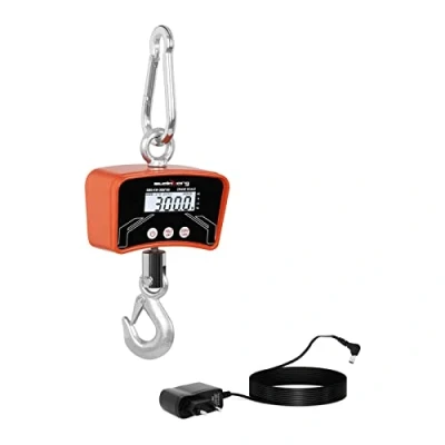 Image of Steinberg Systems SBS KW 300/100 Hanging Scale 300 kg / 100 g