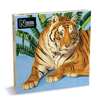 Image of Natural History Museum Tiger &amp; Leopard 8 Square Notecards Wallet