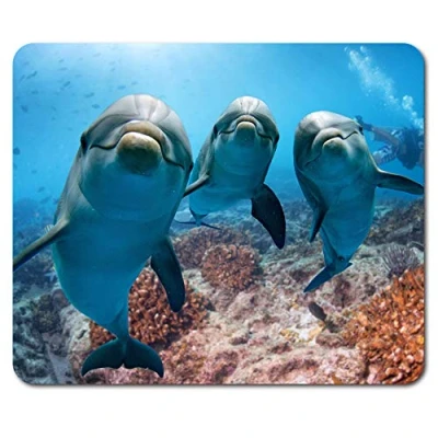 Image of Destination Vinyl ltd Cute Dolphins Mouse Mat Pad Underwater Diving Scuba Fun PC Computer #8336