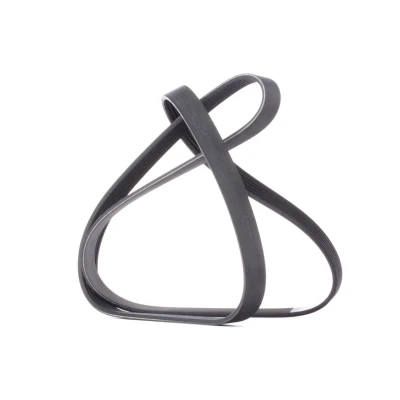 Image of 6x1520 V ribbed belt DAYCO 6PK1520 1520,0mm 6 FORD: Focus 2 Kombi, 2, Galaxy Mk2 MPV, SKODA: Octavia I Hatchback, VOLKSWAGEN: Lupo / 3L