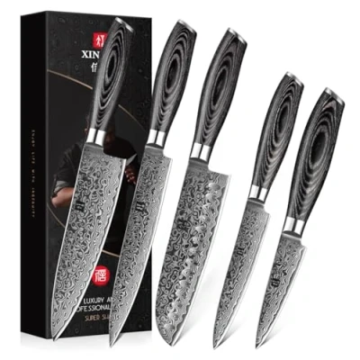 Image of XINZUO 5 Piece Damascus Steel Knife Set, 67 Layers Professional Chef Set with Gift Box,Razor0sharp,Pakkawood Handle Ya Series