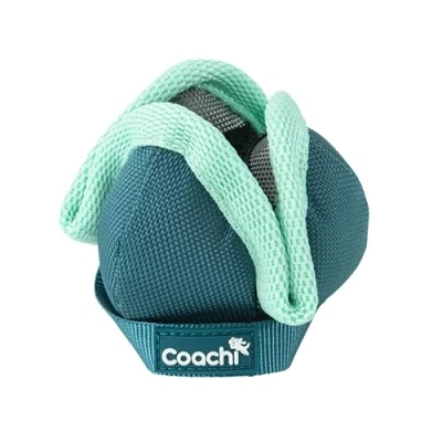 Image of Coachi Puppy &amp; Mini Chase Treat Great for Play Chase, Agility Distance Training, Encourages Interaction, Good Motivating, Reward Training Retrieval. Suitable Dogs Puppies
