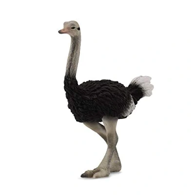 Image of CollectA Ostrich