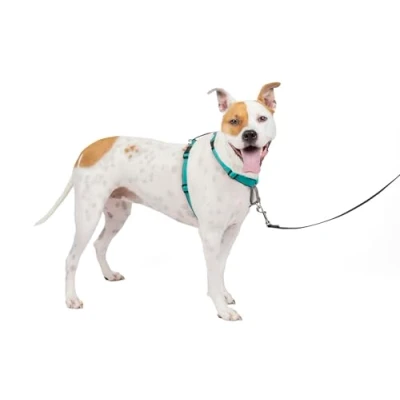 Image of PetSafe 3 in 1 Harness and Car Restraint, Medium, Teal, No Pull, Adjustable, Training for small/medium/large dogs