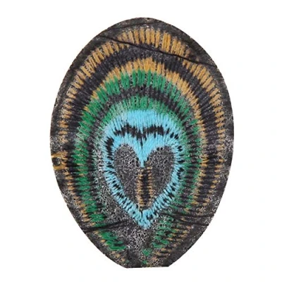 Image of Hilitand 12PCS Fabric Patches Sewing Bag Clothes DIY Peacock Feather Pattern Applique Accessory Embroidery