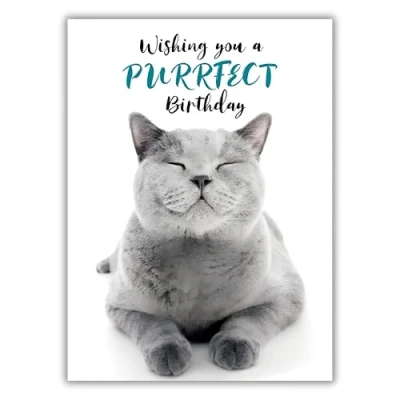 Image of Male/Female Birthday Card for Him/Her General Men/Women Cat Purrfect Photographic Design Made in the UK Eco Friendly