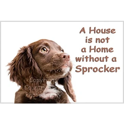 Image of Sprocker Spaniel Fridge Magnet A House is not Home Gift