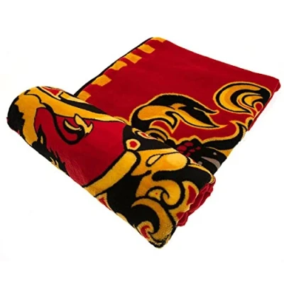 Image of HARRY POTTER Children’s Fleece Blanket, 120 x 150 cm