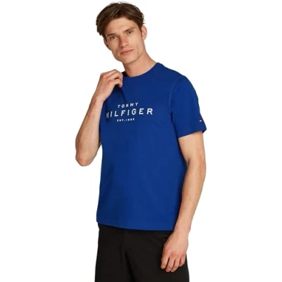 Image of Tommy Hilfiger BIG TEE Print Tshirt, Men&#039;s, Size: Small, Wedge blue