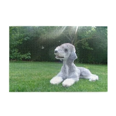 Image of Puzzles,Jigsaw Puzzles Adults Challenging puzzle 1000 pcs Picture wooden, Bedlington Terrier Funny Dogs Furry Pets